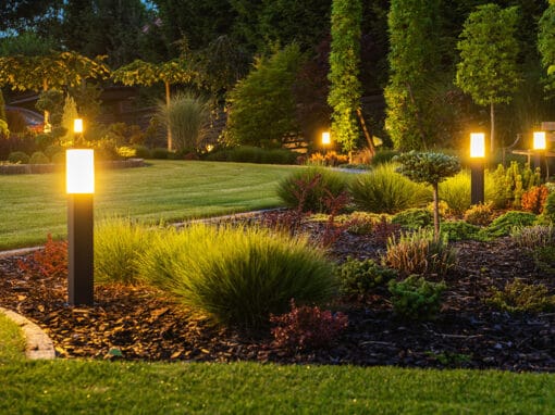 From Eyesore to Oasis: Five Simple Garden Makeover Ideas That Could Add Value